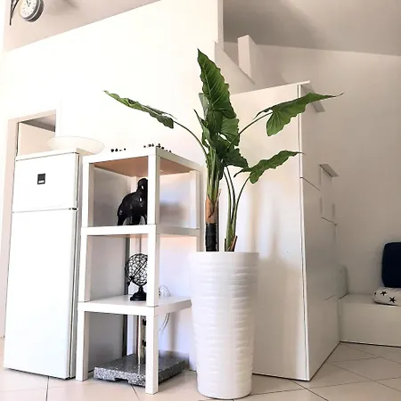 House Of Art Apartment Nin